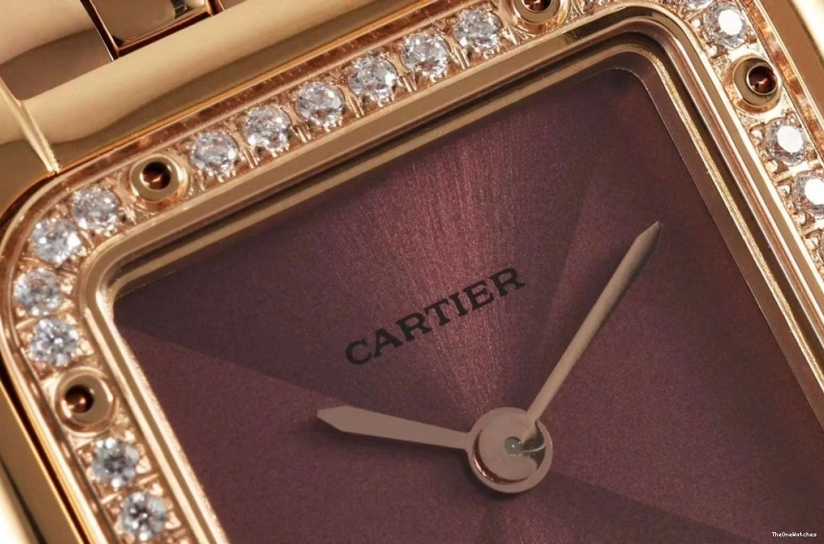 Panthere Brown De Dia RG Quartz 22mm AF RG Dial Ladies Secrete 1206